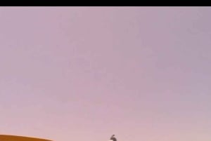 Tagestour Südost, Lombok Pink Beach & Gili Island