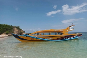 Dagsutflykt Sydost,Lombok Pink Beach