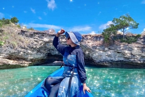 Tour di un giorno a sud-est, Spiaggia Rosa di Lombok