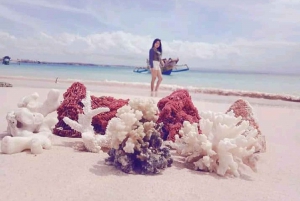 Excursion d'une journée dans le sud-est, Lombok Pink Beach