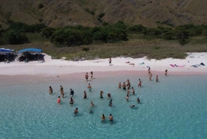 Päiväretki Kaakkois,Lombok Pink Beach (vaaleanpunainen ranta)