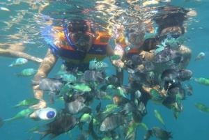 Tour di un giorno a sud-est, Spiaggia Rosa di Lombok