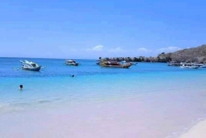 Tour di un giorno a sud-est, Spiaggia Rosa di Lombok