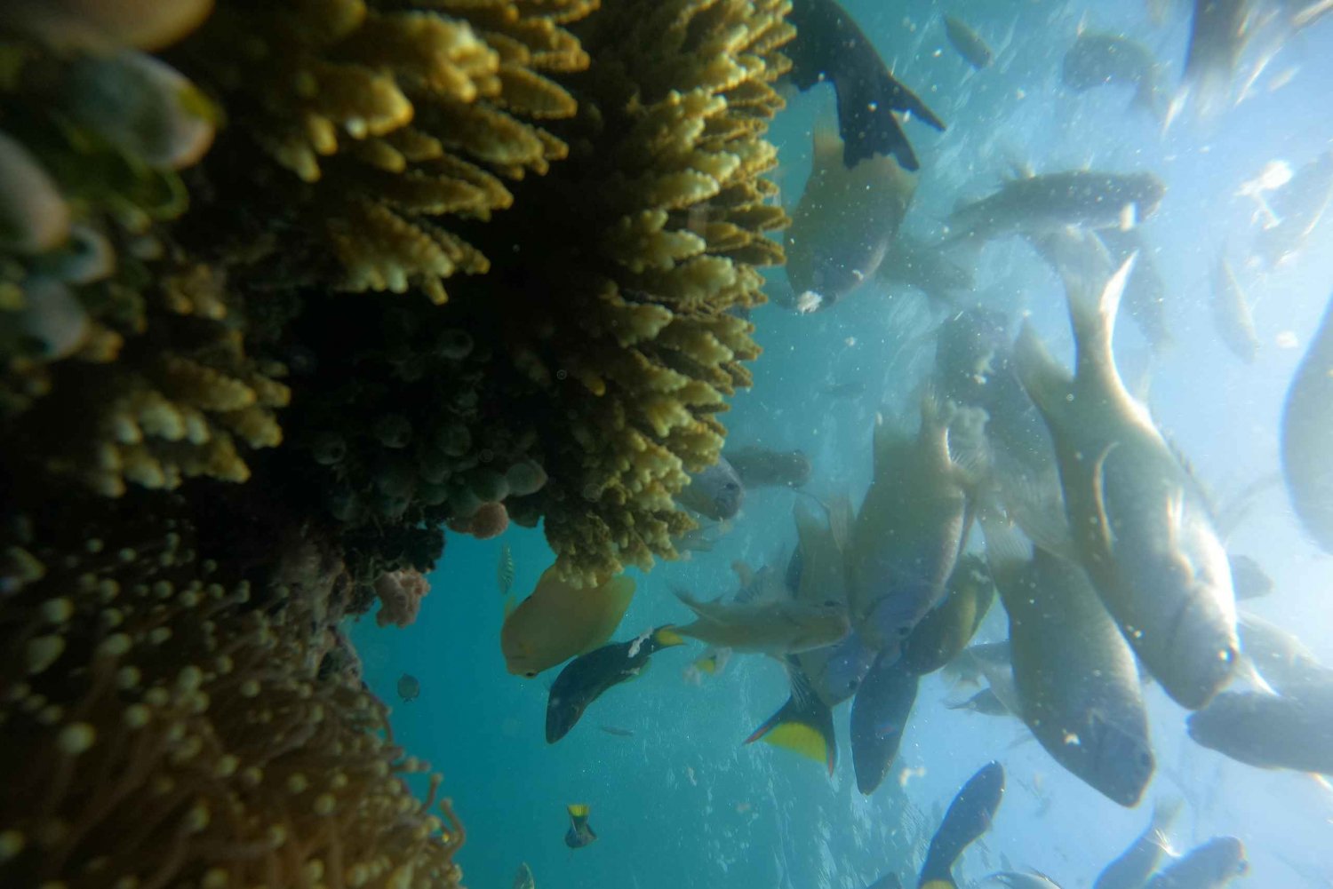 Excursión de un día a 3 Gilis Secretos en el Oeste del Sur de Lombok