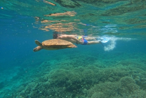 Dagsudflugt 3 hemmelige Gilis i det vestlige syd for Lombok