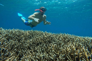 Dagstur 3 Secret Gilis i vest sør for Lombok