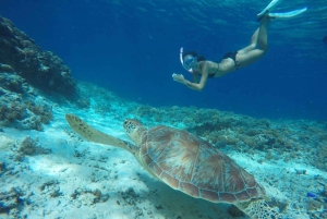 Excursión de un día a 5 Gilis Secretos: Layar,Rengit,Nanggu,Tangkong,Kedis