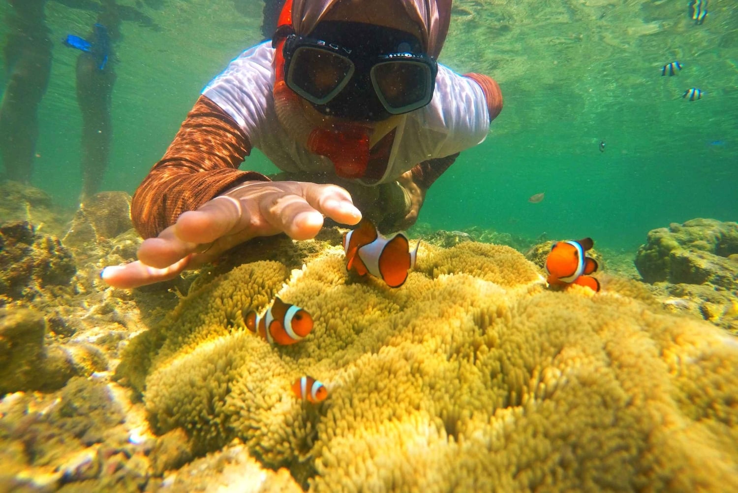 Day Trip Gili Nanggu,Kedis&Sudak With Pick Up