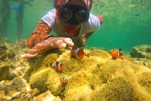 Day Trip Gili Nanggu,Kedis&Sudak With Pick Up