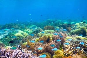 Day Trip Gili Nanggu,Kedis&Sudak With Pick Up