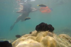 Day Trip Gili Nanggu,Kedis&Sudak With Pick Up