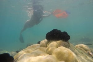 Day Trip Gili Nanggu,Kedis&Sudak With Pick Up