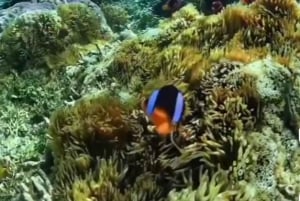 Day Trip Gili Nanggu,Kedis&Sudak With Pick Up