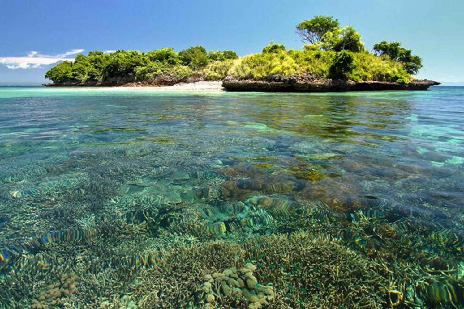 Oplev skønheden ved Pink Beach Lombok