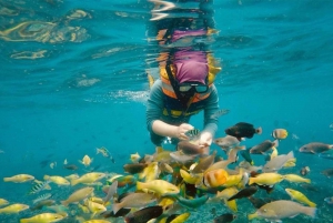 Descubre la belleza de la Playa Rosa de Lombok