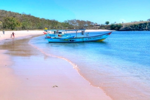 Odkryj piękno różowej plaży Lombok