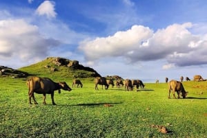 Découvrez le cœur de Lombok : Un circuit authentique en Sasak