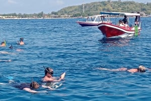 Snorkeltur ved Tree Gilis med båd med glasbund