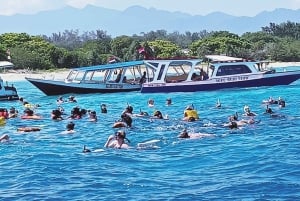 Snorkeltrip bij boom Gilis met boot met glazen bodem