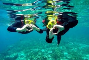 Fai snorkeling ad Albero Gilis con la barca con fondo di vetro