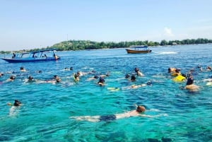 Excursion de plongée en apnée à Tree Gilis avec un bateau à fond de verre