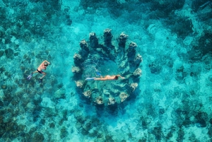 Embark on a private or shared guided snorkeling tour in Gili