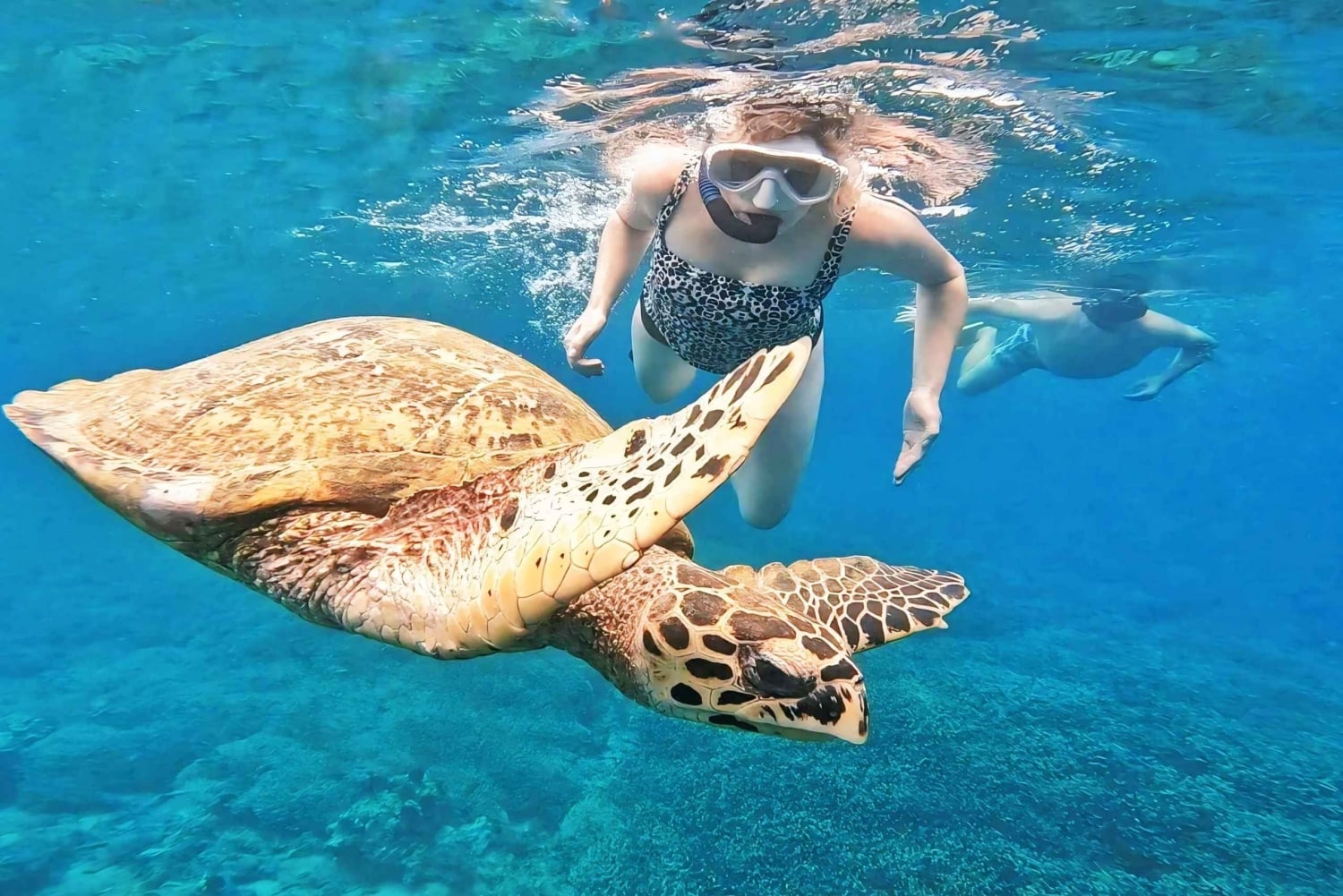 Exclusive 5 Secret Gilis: Snorkeling & Island Hopping