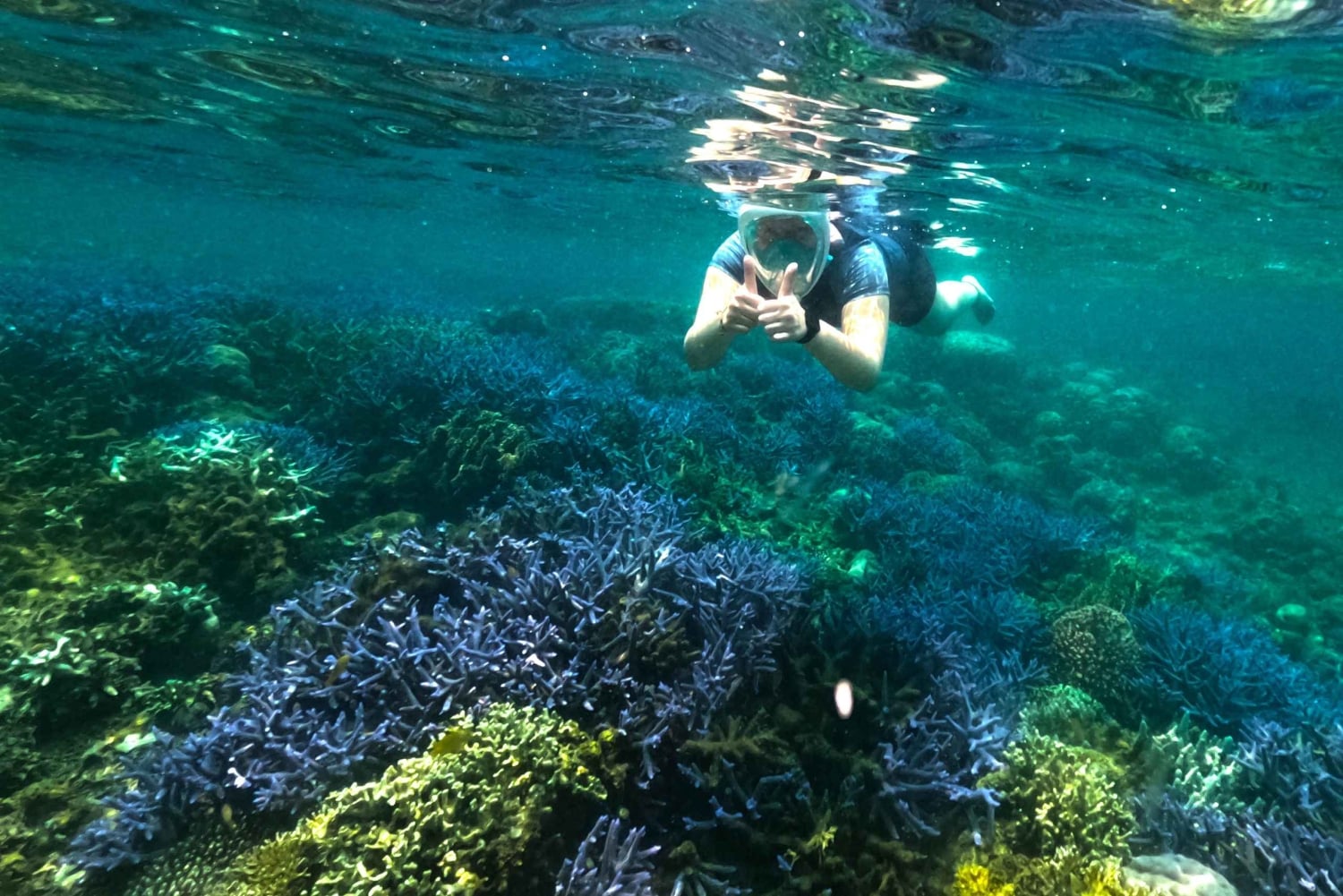 Exclusive 5 Secret Gilis: Snorkeling & Island Hopping