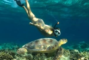 Exclusive 5 Secret Gilis: Snorkeling & Island Hopping