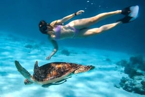 Exclusive 5 Secret Gilis: Snorkeling & Island Hopping