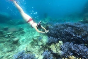 Exclusive 5 Secret Gilis: Snorkeling & Island Hopping