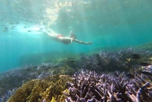 Exclusive 5 Secret Gilis: Snorkeling & Island Hopping