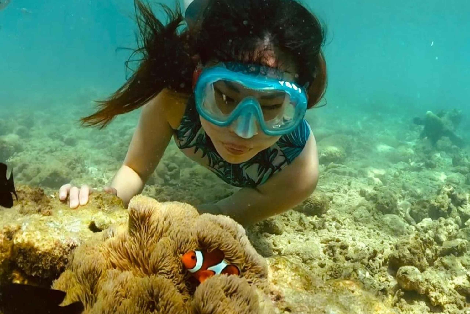 Excursion exclusive à Gili Nanggu, Sudak et Kedis avec GoPro