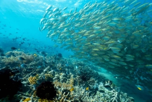 Eksklusiv tur til Gili Nanggu, Sudak og Kedis med GoPro