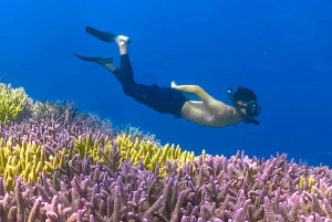 Ekskluzywna wycieczka po Gili Nanggu, Sudak i Kedis z GoPro