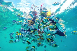 Exclusive Gili Nanggu, Sudak, and Kedis Tour Featuring GoPro