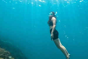 Excursion exclusive à Gili Nanggu, Sudak et Kedis avec GoPro