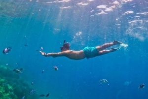 Excursion exclusive à Gili Nanggu, Sudak et Kedis avec GoPro