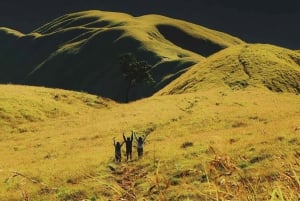 Randonnée exclusive jusqu'à la colline de Nanggi : Camping à la belle étoile