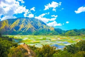 Exclusive Lombok: 3-Day Nature, Culture & Scenic Wonders