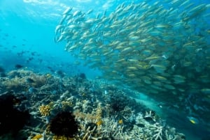 Exclusive Lombok : 3 jours de découverte de la nature, de la culture et des merveilles panoramiques