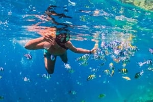 Exclusive Lombok: 3-dagars natur, kultur och natursköna underverk