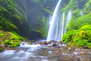 Eksklusivt Lombok: 3-dagers natur, kultur og naturskjønne underverker