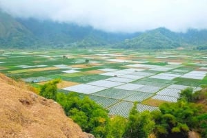 Exklusives Lombok: 3 Tage Natur, Kultur und landschaftliche Wunder