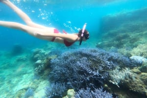 Excursion exclusive de pêche et de plongée en apnée à Lombok à travers 4 gilis