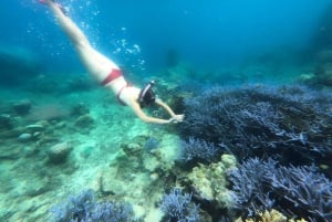 Eksklusiv Lombok fiske- og snorkeltur på tværs af 4 Gilis