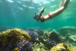 Eksklusiv Lombok fiske- og snorkeltur på tværs af 4 Gilis