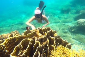 Eksklusiv Lombok fiske- og snorkeltur på tværs af 4 Gilis