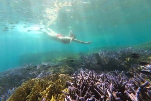 Eksklusiv Lombok fiske- og snorkletur over 4 Gilis