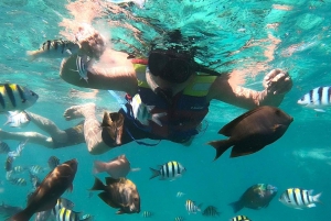 Excursion exclusive d'une journée à la plage rose de Lombok et aux 3 Gilis